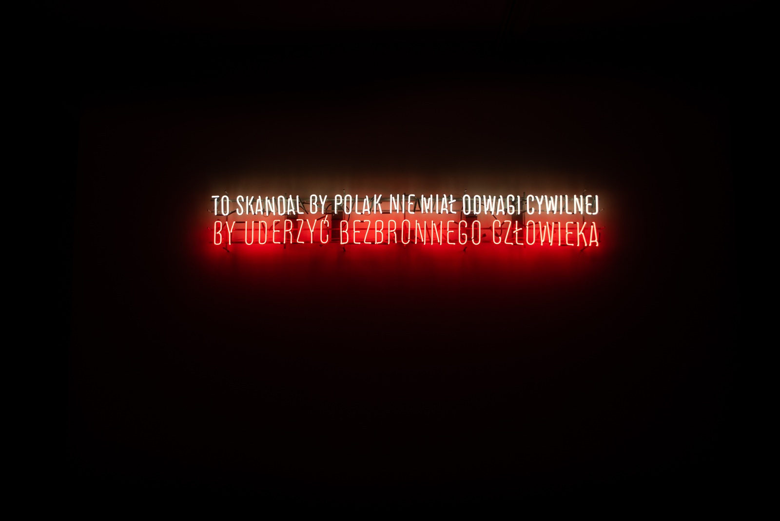 Hubert Czerepok, "To skandal by Polak nie miał odwagi cywilnej by uderzyć bezbronnego człowieka", 2011, neon